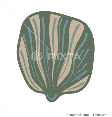 Vector illustration of a single colored sea shell on white background. Elegant drawing for coastal graphic compositions. Vector illustration of a single colored sea shell on white background. Elegant drawing for coastal graphic compositions. 129030560