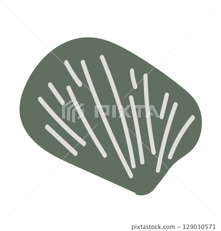 Vector illustration of a single colored sea shell on white background. Elegant drawing for coastal graphic compositions. 129030571