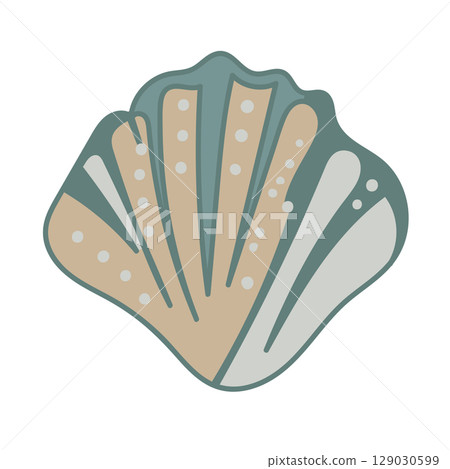 Vector illustration of a single colored sea shell on white background. Elegant drawing for coastal graphic compositions. 129030599