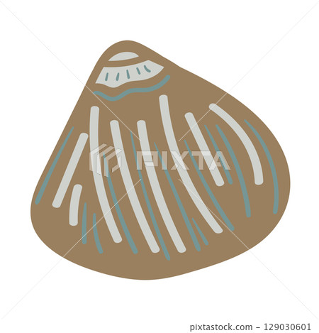 Vector illustration of a single colored sea shell on white background. Elegant drawing for coastal graphic compositions. 129030601