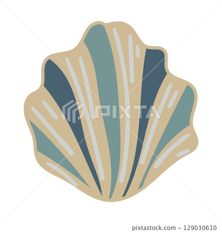 Vector illustration of a single colored sea shell on white background. Elegant drawing for coastal graphic compositions. 129030610