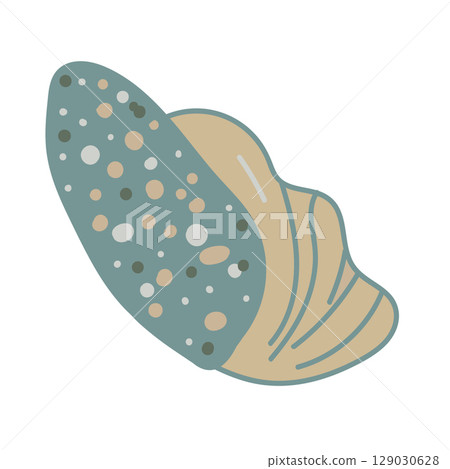 Vector illustration of a single colored sea shell on white background. Elegant drawing for coastal graphic compositions. 129030628