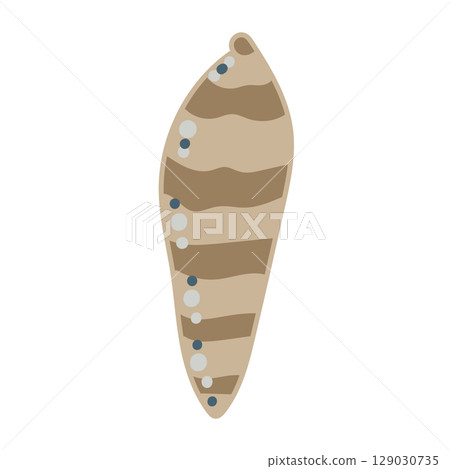 Vector illustration of a single colored sea shell on white background. Elegant drawing for coastal graphic compositions. 129030735