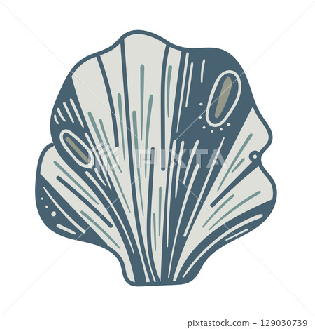 Vector illustration of a single colored sea shell on white background. Elegant drawing for coastal graphic compositions. 129030739