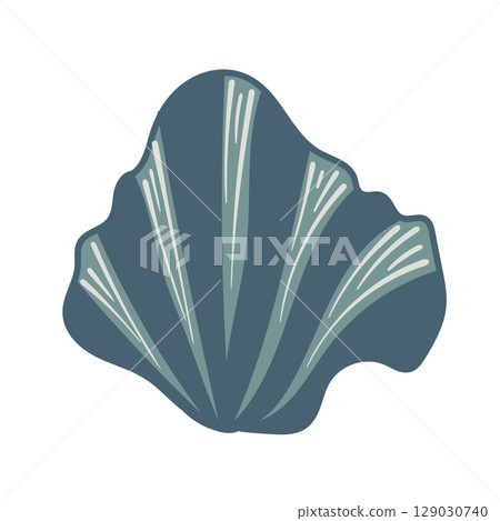 Vector illustration of a single colored sea shell on white background. Elegant drawing for coastal graphic compositions. Vector illustration of a single colored sea shell on white background. Elegant drawing for coastal graphic compositions. 129030740