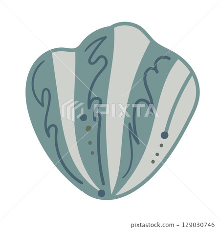 Vector illustration of a single colored sea shell on white background. Elegant drawing for coastal graphic compositions. 129030746