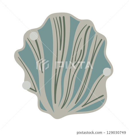 Vector illustration of a single colored sea shell on white background. Elegant drawing for coastal graphic compositions. 129030749