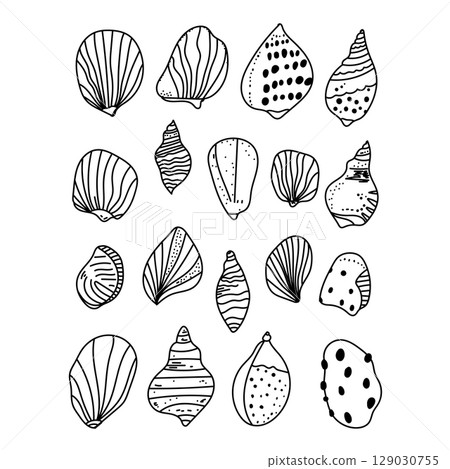 Vector set of outline sea shells drawn in minimal line art style. Hand-drawn contour illustrations. Vector set of outline sea shells drawn in minimal line art style. Hand-drawn contour illustrations. 129030755