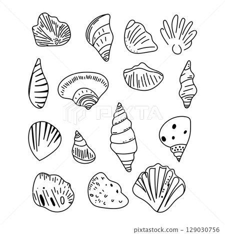 Vector set of outline sea shells drawn in minimal line art style. Hand-drawn contour illustrations. 129030756