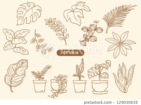 手繪室內植物棕褐色調插圖集 129030838