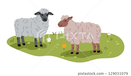 Two fluffy sheep, one gray and one brown gazing on grassy field with scattered flowers, representing peaceful farm and rural life. Cartoon flat vector domestic livestock animals with thick woolly coat 129031079