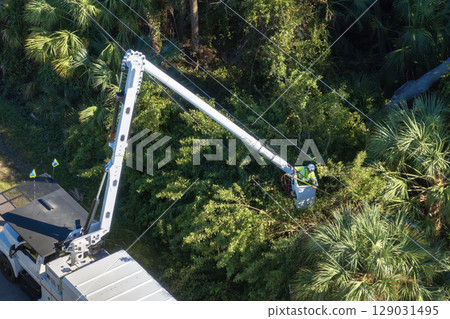 Worker in lift truck trimming tree around power lines. Maintenance of electrical grid by city utility cervices 129031495