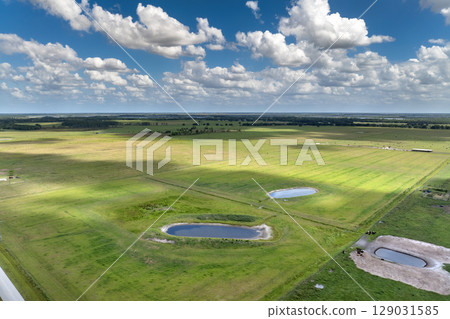 Water reservoirs for cows grazing on green farm pasture. Drinking ponds at free range farm. Feeding of cattle on farmland grassland 129031585