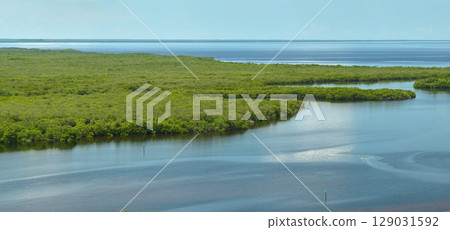 View from above of Florida everglades with green vegetation between ocean water inlets. Natural habitat of many tropical species in wetlands 129031592