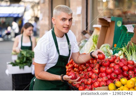 Guy shop seller puts tomatoes on display case Guy shop seller puts tomatoes on display case 129032442