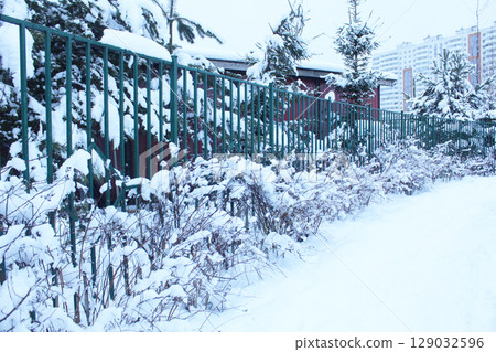 Bushes and plants in the snow near a snow-covered fence. 129032596