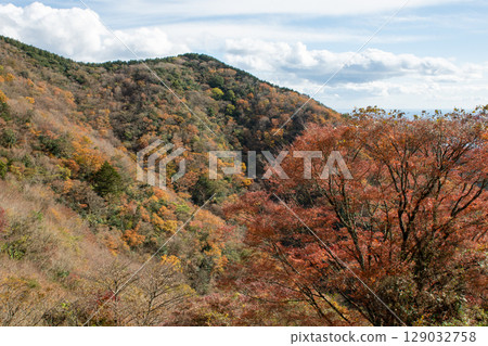 The autumn foliage of the mountains can be seen from the Tsubaki Line in Yugawara, Kanagawa. A spectacular autumn landscape. The autumn foliage of the mountains can be seen from the Tsubaki Line in Yugawara, Kanagawa. A spectacular autumn landscape. 129032758