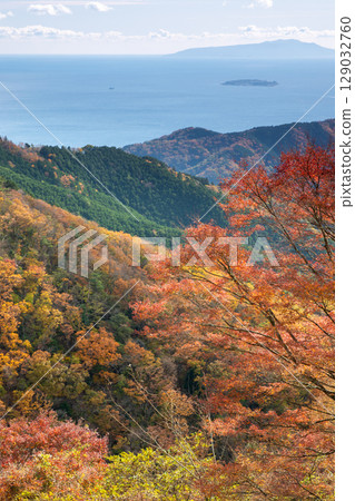 從湯河原椿線眺望，秋葉滿山，初島漂浮在相模灣，景色十分壯觀。 129032760