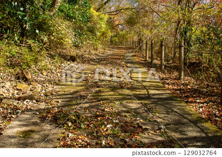A promenade in late autumn. A walking path in Yugawara, Kanagawa, covered with fallen leaves. A promenade in late autumn. A walking path in Yugawara, Kanagawa, covered with fallen leaves. 129032764