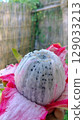 Fresh Peeled White Dragon Fruit with Black Seeds 129033213