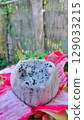 Unveiled White Dragon Fruit Ready to Be Enjoyed. 129033215