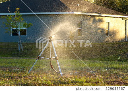 Sprinkler irrigating grass lawn with water in summer garden. Watering green vegetation during dry season for maintaining it fresh 129033367