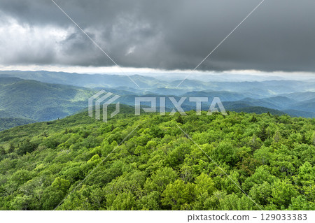 Smokey mountains summer woods. Appalachian mountains in North Carolina with fresh green forest trees in summertime rainy season. Beauty of USA nature 129033383