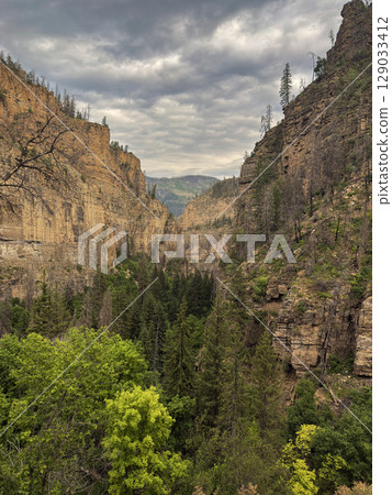 Dramatic Canyon View with Dense Forest and Stormy Skies 129033412