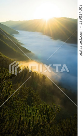 Sunrise above mountain valley filled with mist, casting warm light on forest hills. Serene natural vertical scene. Generative AI. Sunrise above mountain valley filled with mist, casting warm light on forest hills. Serene natural vertical scene. Generative AI. 129034302