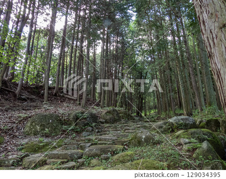 中山道大瀧宿的石板景觀 129034395