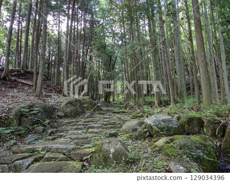 中山道大滝宿的石板路風景 129034396