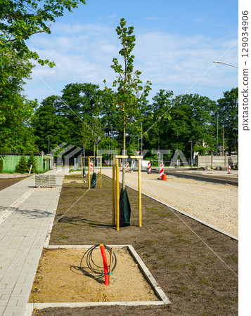 Urban Streetscape with New Trees, Sidewalk, and Exposed Utility Lines Under Construction 129034906