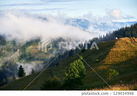 Scenic mountain landscape with 4x4 vehicle perched on grassy hilltop, overlooking valley shrouded in mist. Surrounding pine forest and distant mountains create serene, ethereal atmosphere. 129034998