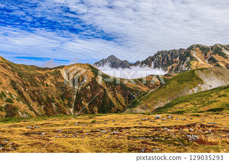 立山的秋日風景和金色的草原 立山的秋日風景和金色的草原 129035293