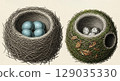 Detailed engraving illustrates different types of bird's nests from nature, focusing on the unique shapes, materials, and colorful eggs resting inside each nest. 129035330