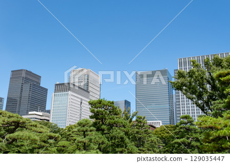 Skyscrapers seen from the Imperial Palace Plaza 129035447