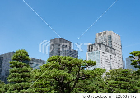 Skyscrapers seen from the Imperial Palace Plaza Skyscrapers seen from the Imperial Palace Plaza 129035453