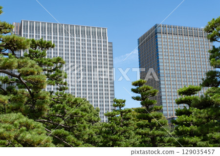 Skyscrapers seen from the Imperial Palace Plaza 129035457