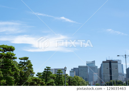 從皇宮廣場看到的摩天大樓 129035463