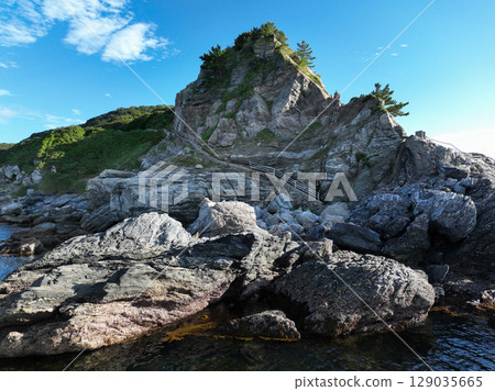 愛媛縣伊方町番所花 愛媛縣伊方町番所花 129035665