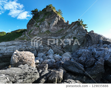愛媛縣伊方町番所花 129035666