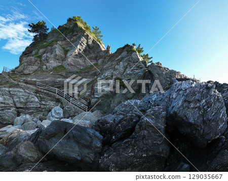 愛媛縣伊方町番所花 愛媛縣伊方町番所花 129035667