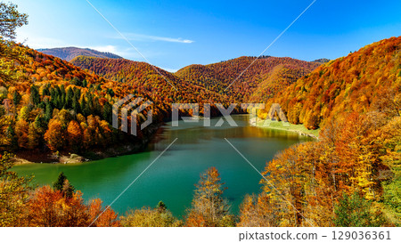 藍天高山湖泊上的秋葉 129036361