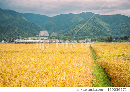 485 series train at Katsuta Vehicle Center running on the Ban'etsu West Line 129036371