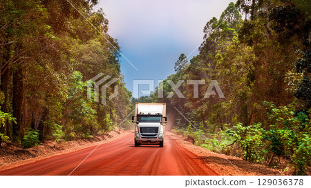 一輛大卡車在森林裡一條紅褐色的道路上飛馳 129036378