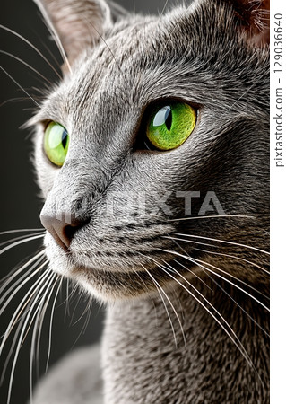 Close-up of a grey cat with striking green eyes and sharp whiskers in focus 129036640