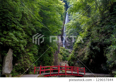Landscape of Minamiashigara, Kanagawa Prefecture - Sakamizu Falls 129037844