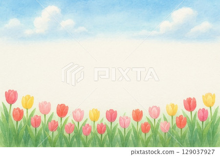 Postcard Tulip 129037927