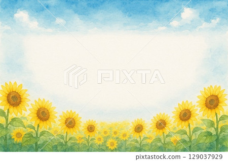 明信片向日葵 129037929