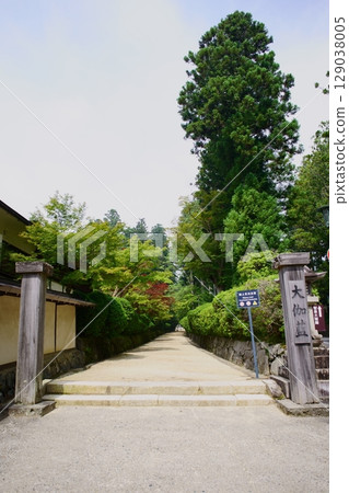 Scenery of the World Heritage Site Mount Koya: Serpentine Path 129038005